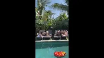 Keseharian Liburan Villa Ngentot Sepuasnya Becek